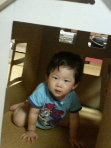 ダンボールのおうちで遊ぶジュニア